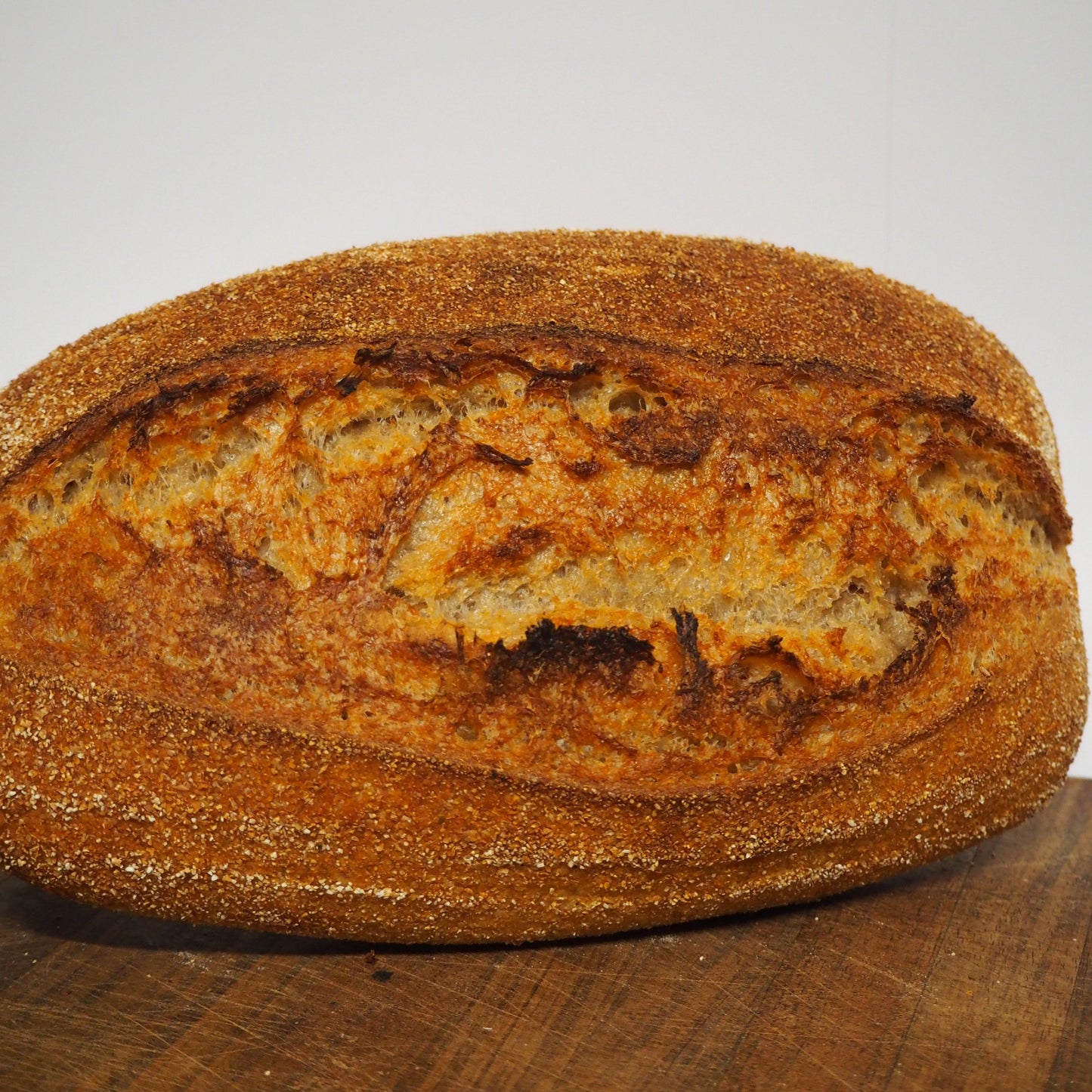 Wholewheat Sourdough Batard